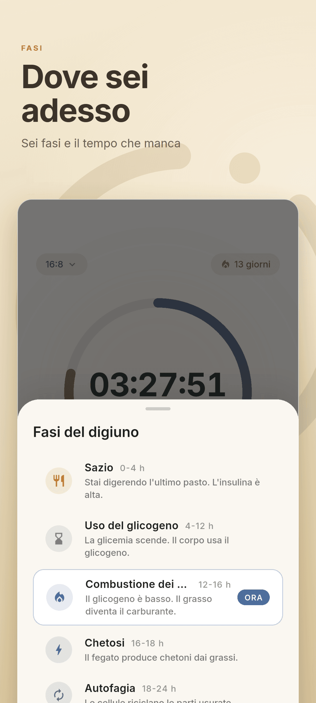 Il foglio delle fasi del digiuno con tutte e sei le fasi e quella corrente evidenziata