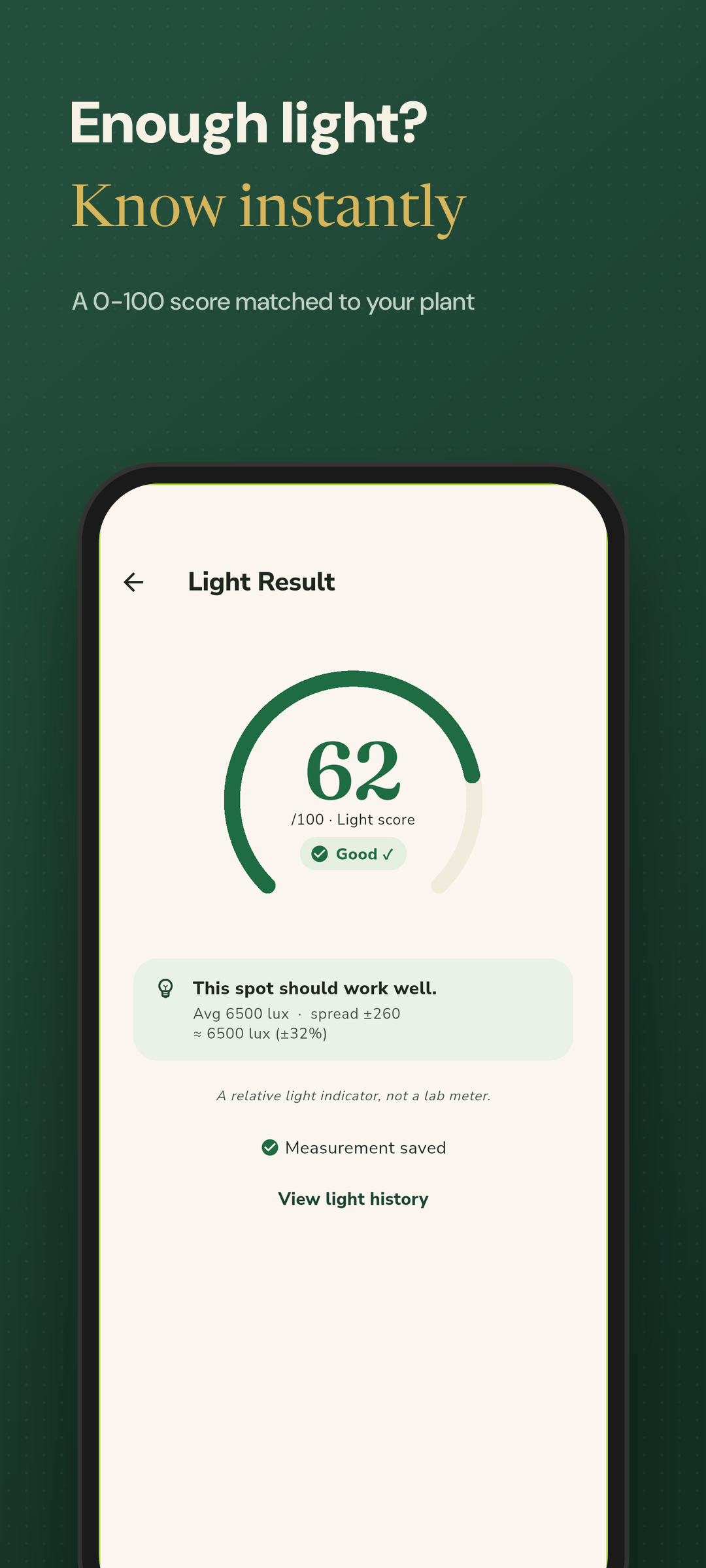 Light result with a 0-100 score and an enough verdict