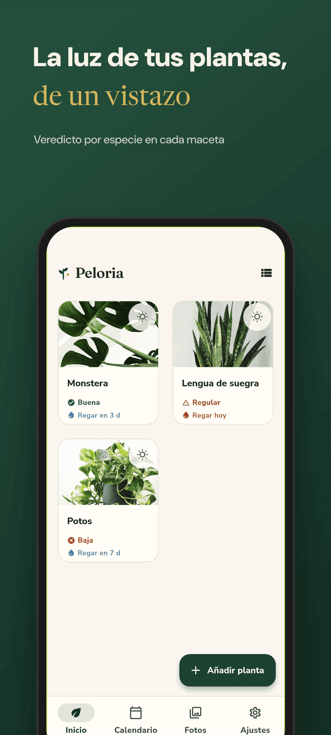 Pantalla de inicio con tarjetas que muestran el estado de luz de cada planta