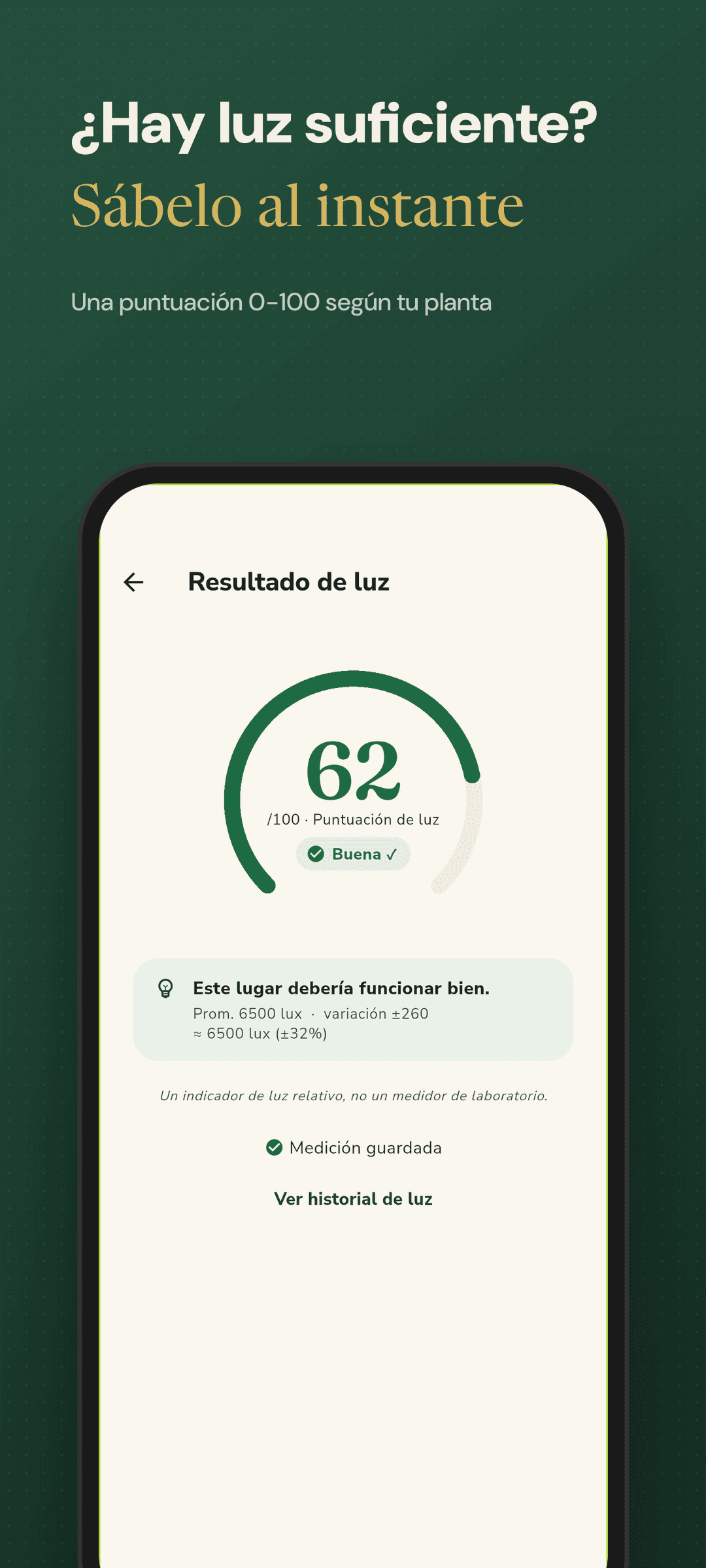 Resultado con una puntuación 0-100 y veredicto suficiente