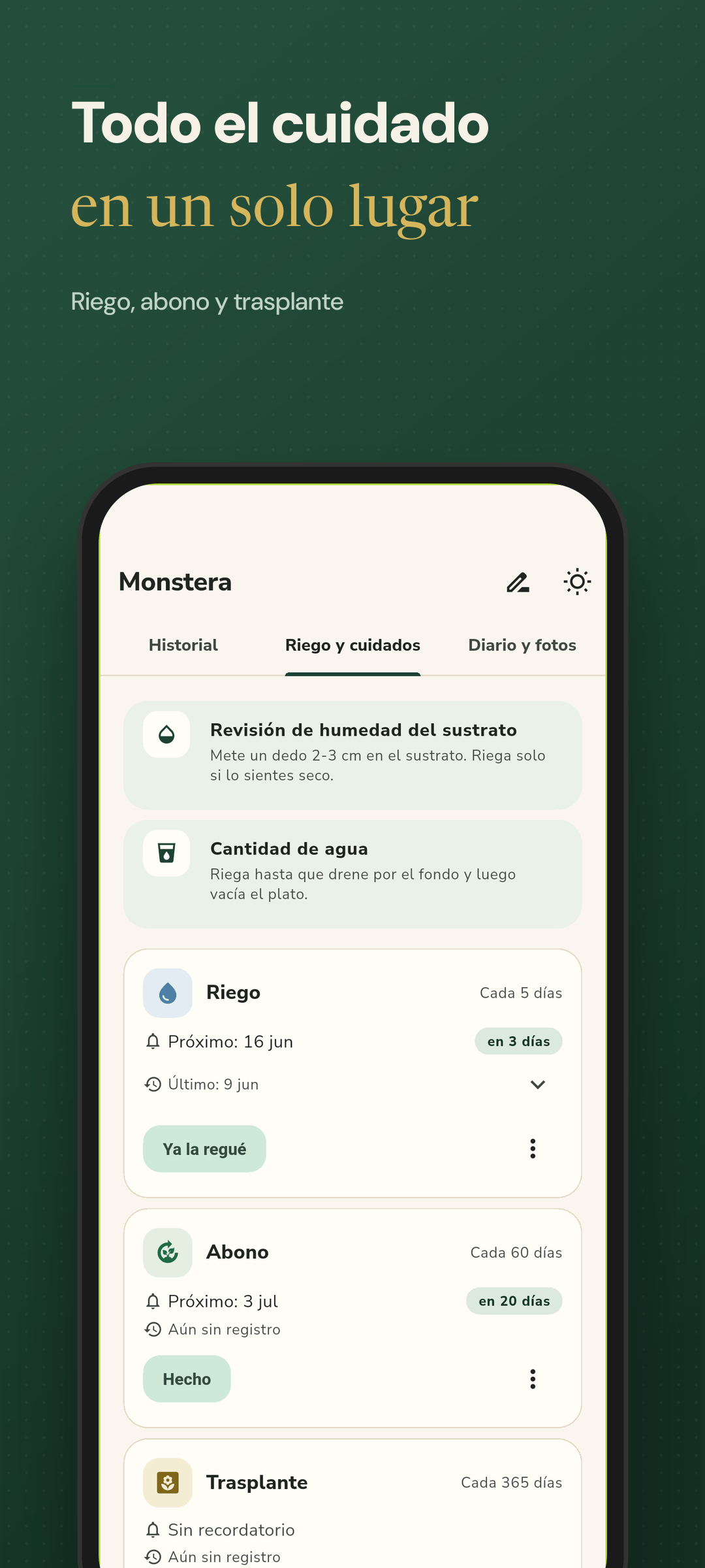 Plan de riego y cuidado por planta