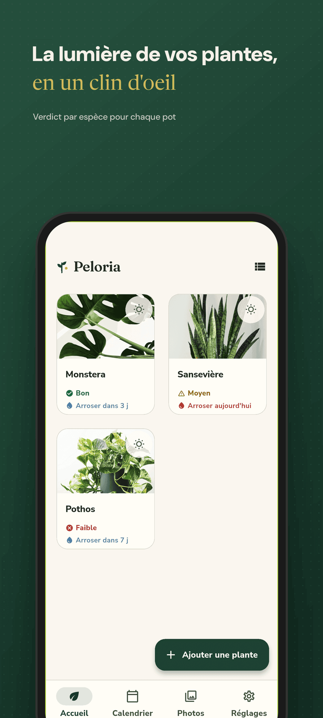 Écran d'accueil avec des cartes montrant l'état lumineux de chaque plante