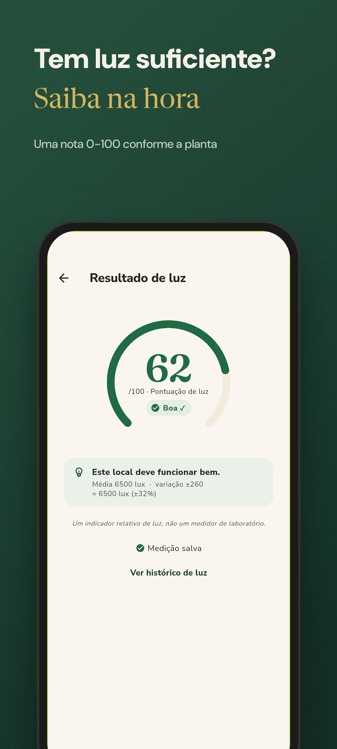 Resultado com nota 0-100 e veredito suficiente