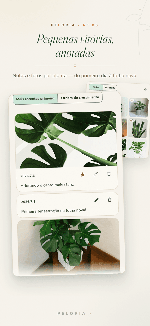 Diário das plantas - notas datadas e fotos de crescimento por planta, do primeiro dia em casa até a primeira folha nova