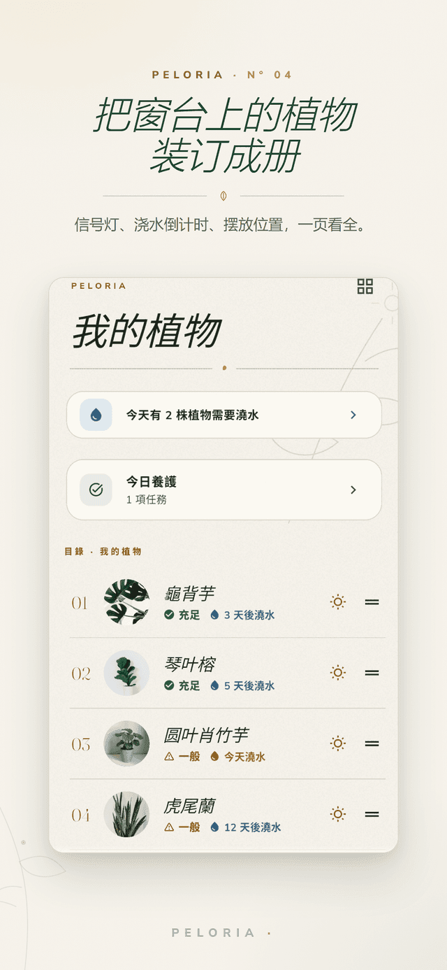 我的植物索引 - 將每株植物的光照狀態與下次澆水倒數整理在同一頁，並含今日澆水與照護待辦