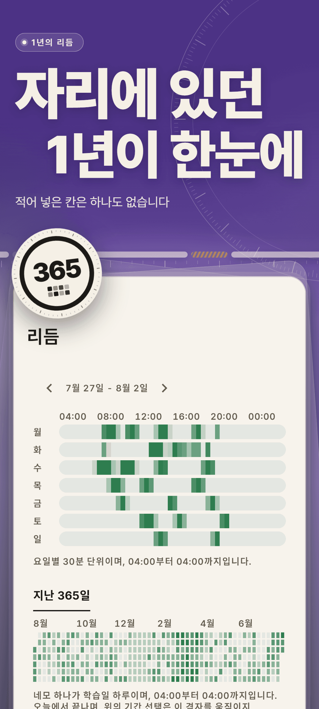 리듬: 한 주를 요일과 30분 단위로 나눈 히트맵과, 공부한 날마다 한 칸씩 채워지는 지난 365일 격자
