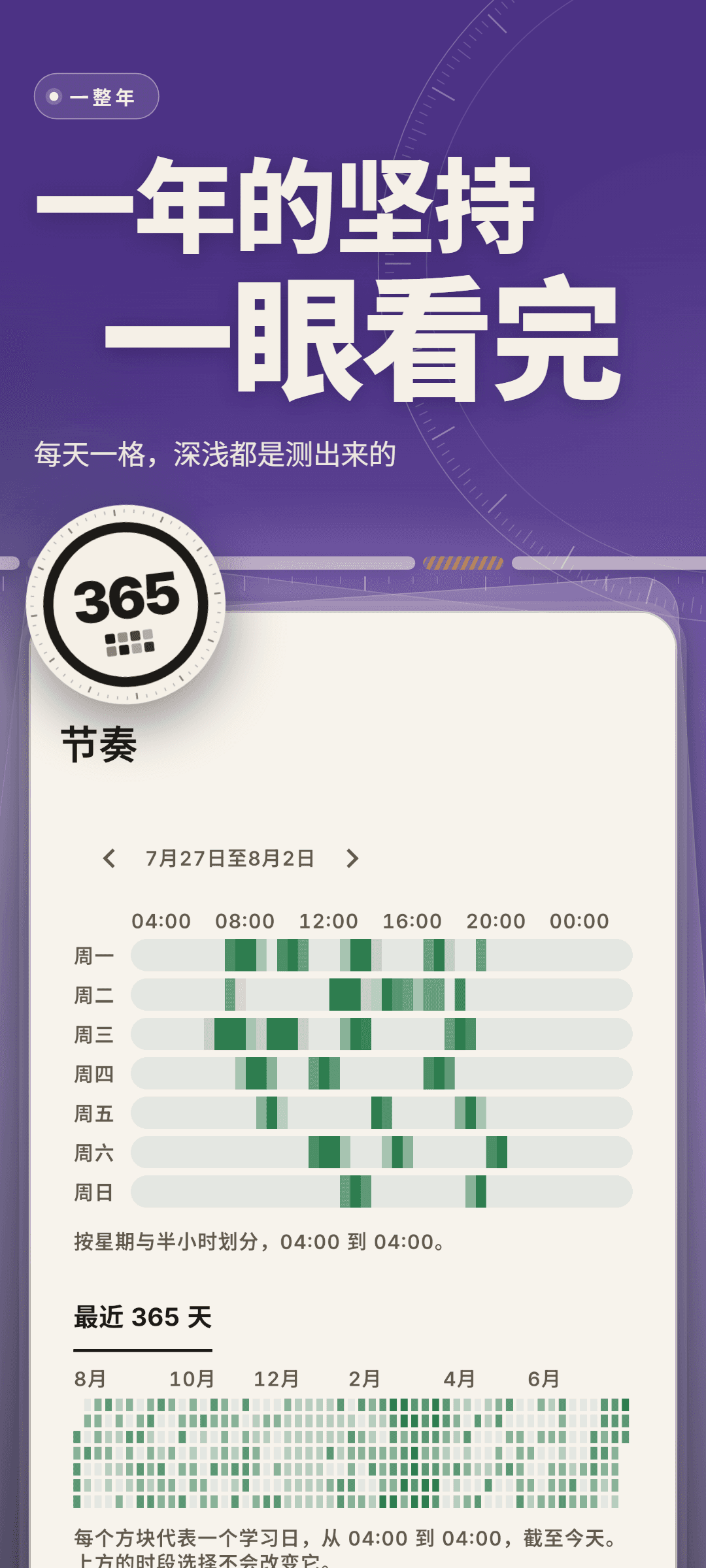 节奏：一周按星期和半小时划分的热力图，以及过去 365 天的格子，每个学习日一格