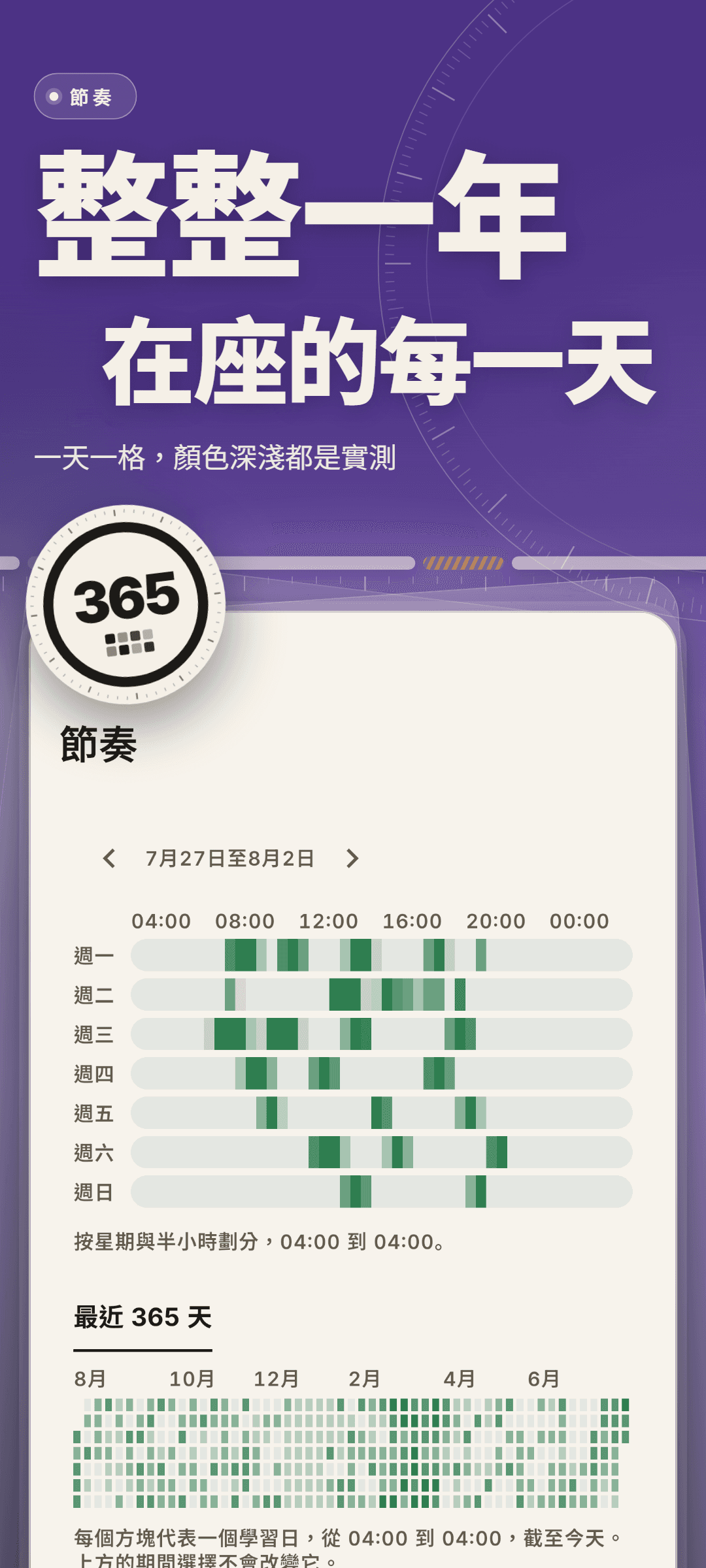 節奏：一週依星期和半小時劃分的熱度圖，以及過去 365 天的格子，每個讀書日一格
