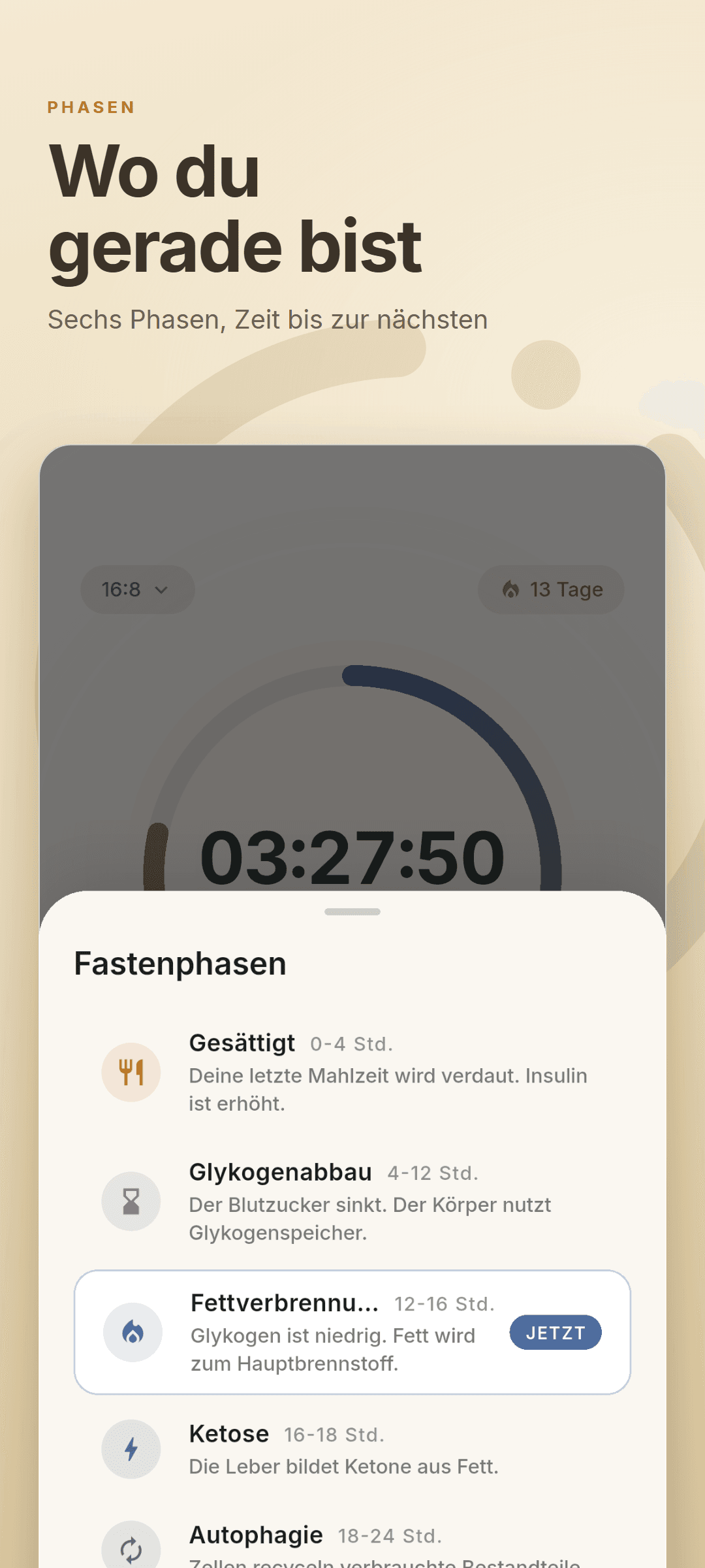 Die Phasenübersicht mit allen sechs Stoffwechselphasen und markierter aktueller Phase