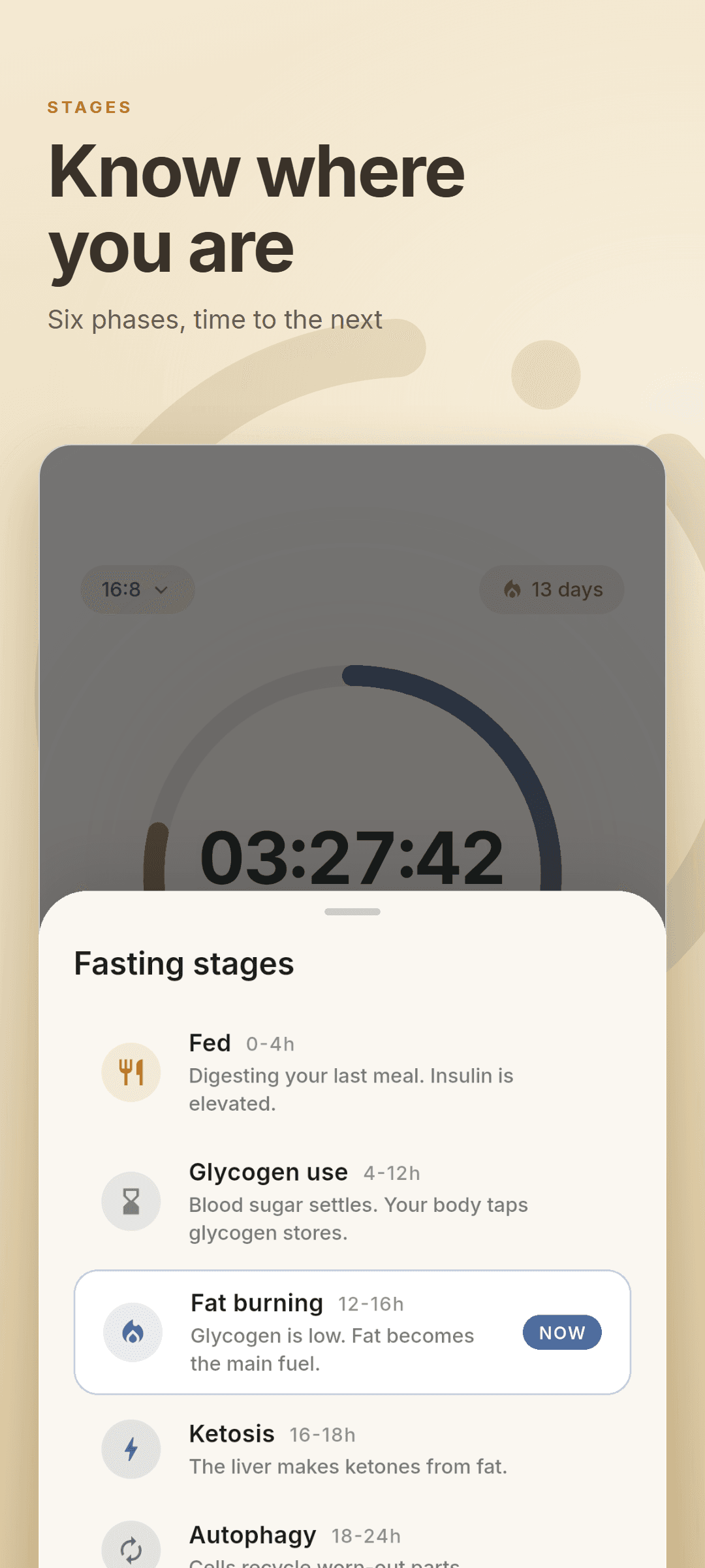 The fasting stages sheet listing all six phases with the current one marked