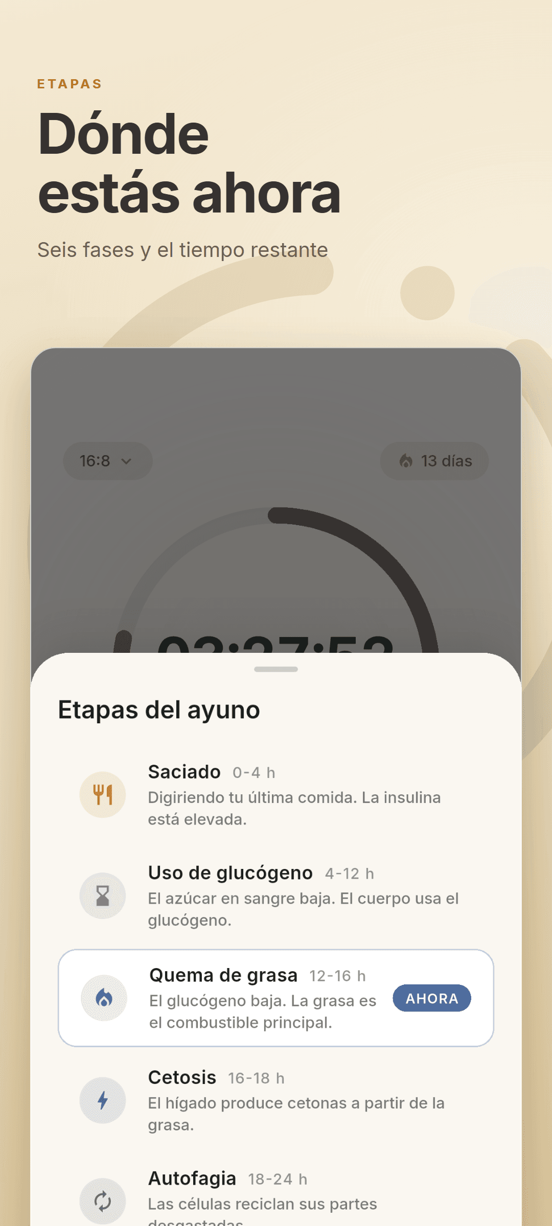 La hoja de etapas del ayuno con las seis fases y la actual marcada