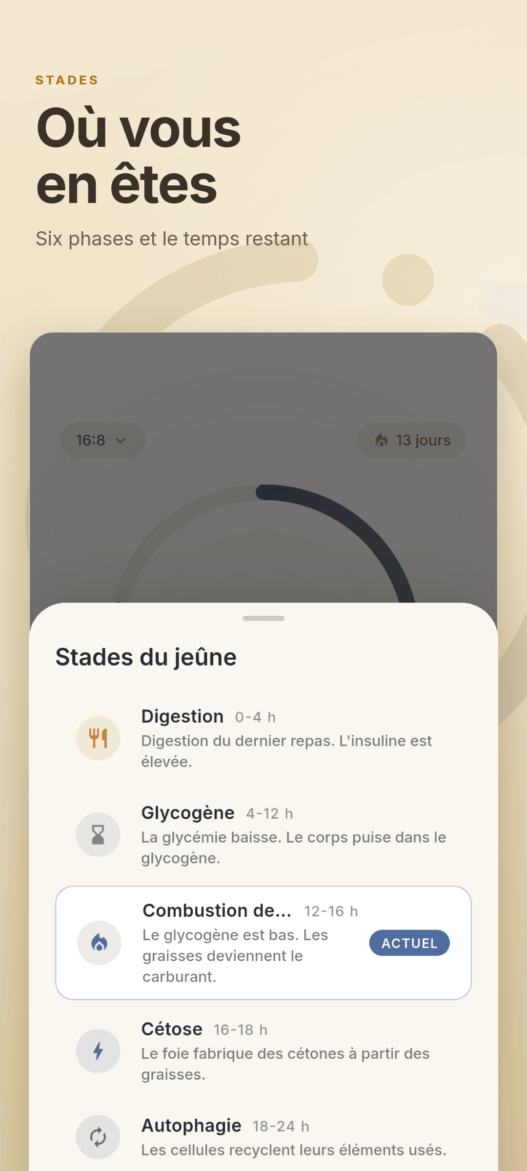 La fiche des stades du jeûne listant les six phases avec l'stade en cours marquée