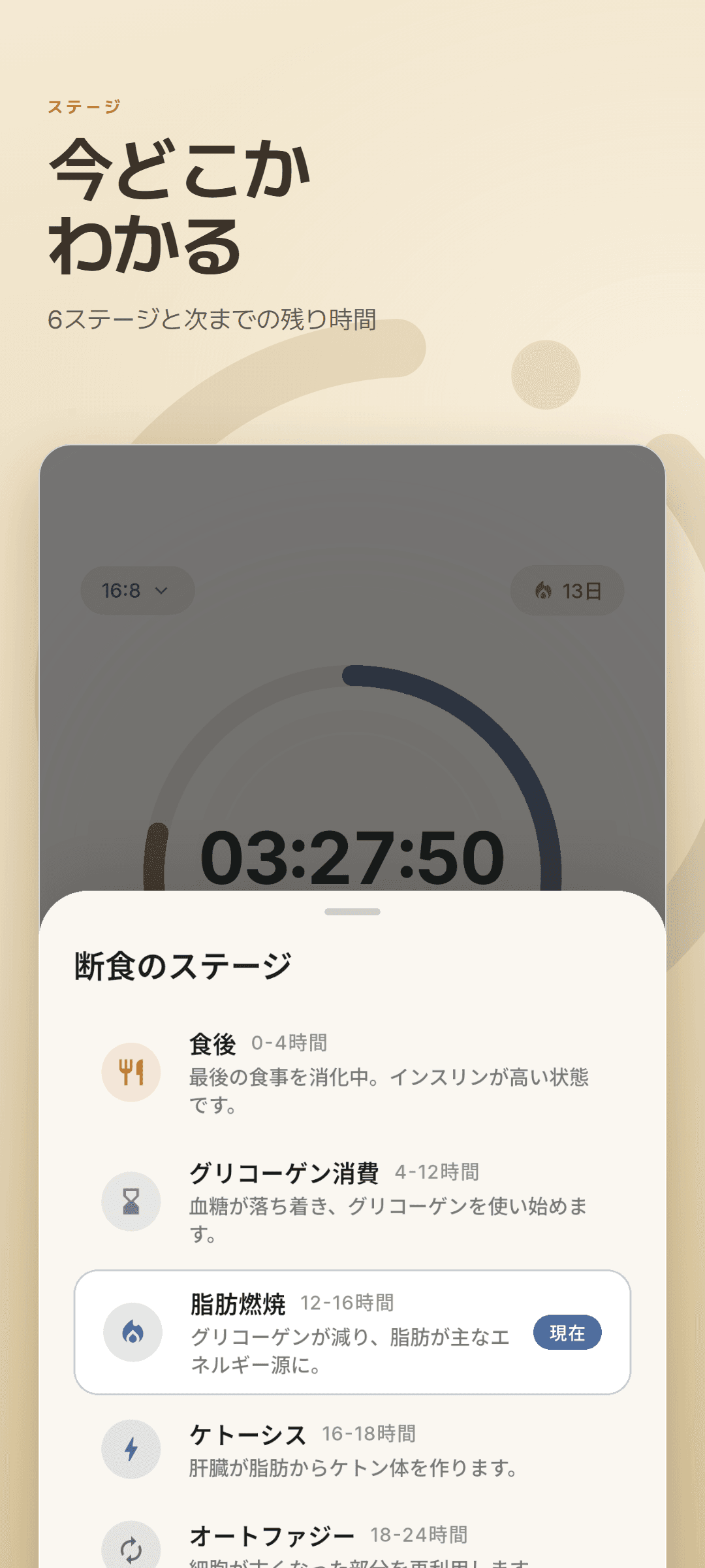 6 ステージすべてを並べ、現在のステージを示した断食ステージのシート