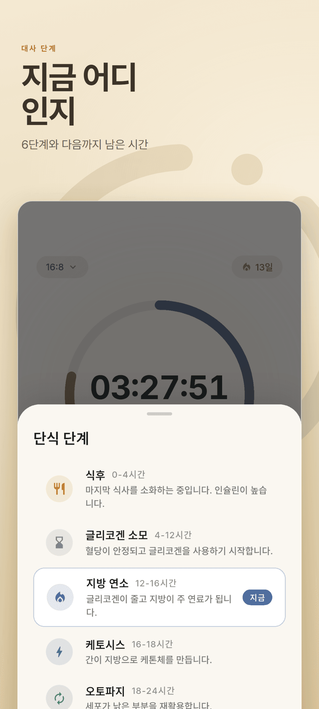 여섯 단계를 모두 나열하고 현재 단계를 표시한 대사 단계 시트