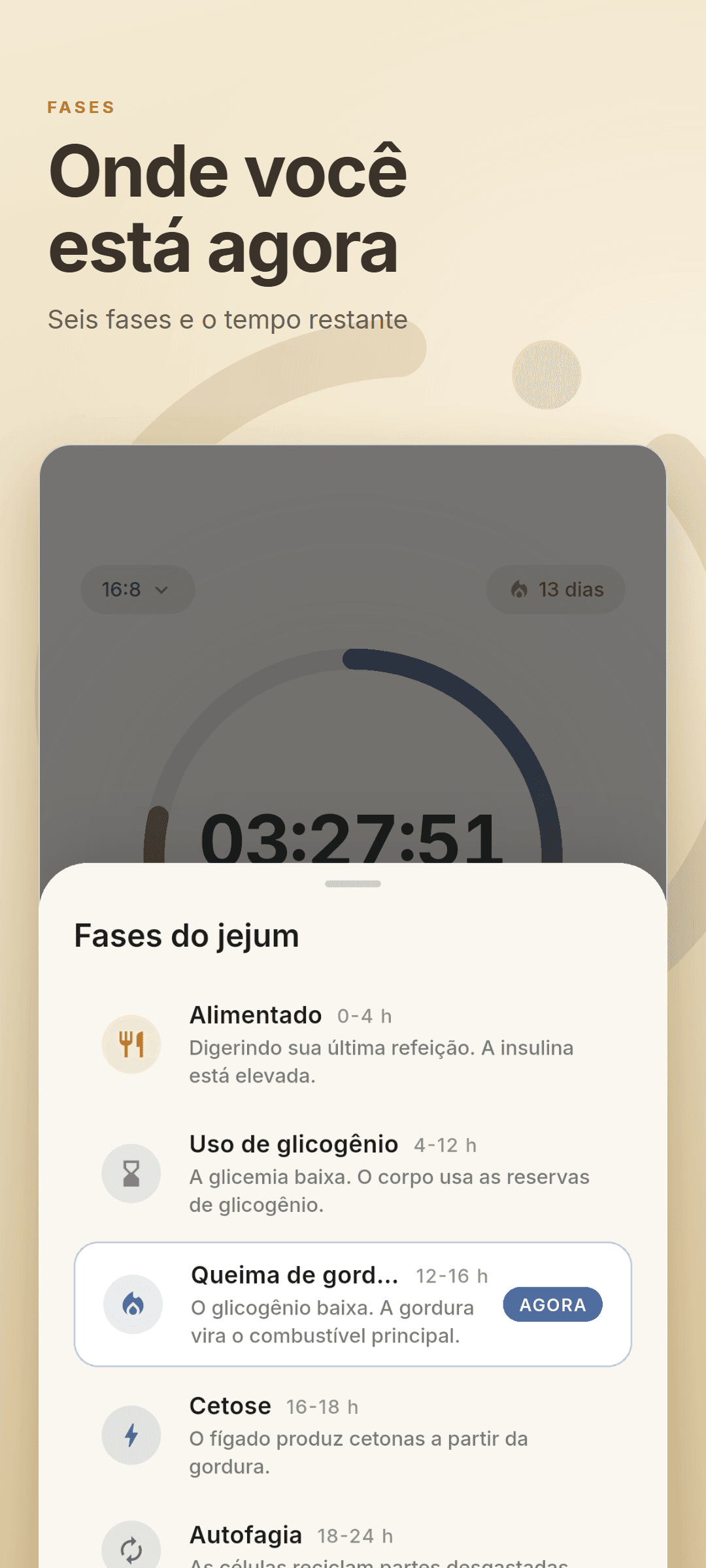 A folha de fases do jejum listando as seis fases com a atual marcada