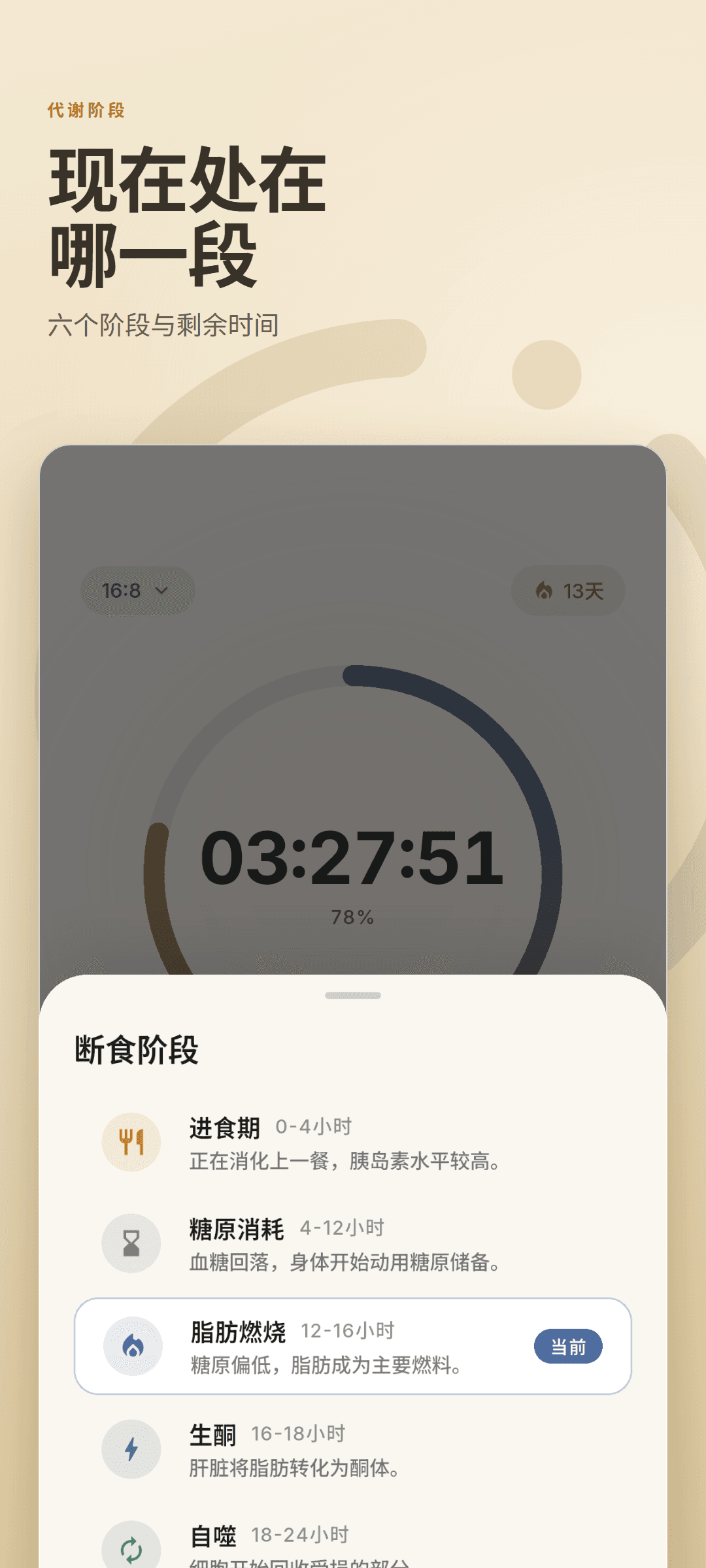 断食阶段面板,列出全部六个阶段并标出当前阶段
