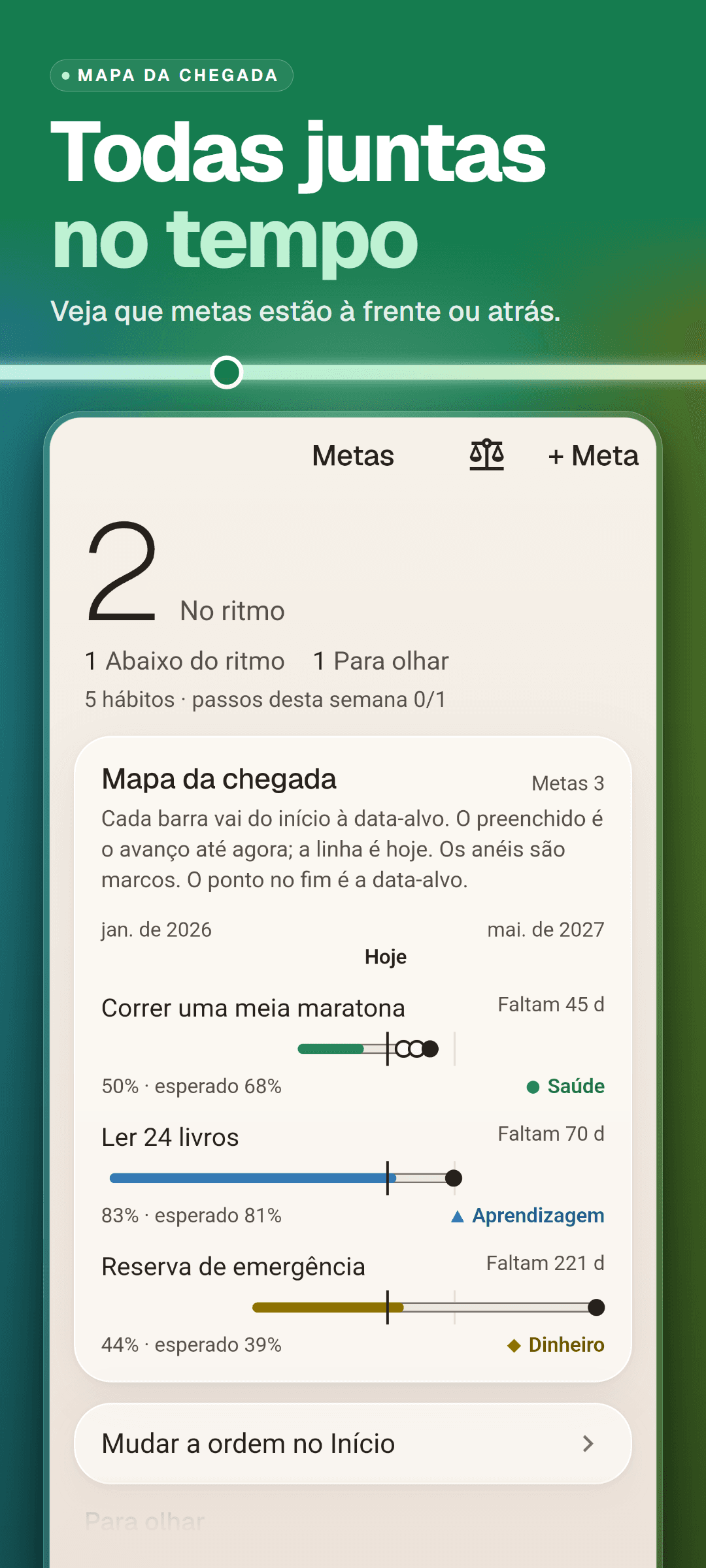 A aba Metas: quantas metas estão no ritmo e abaixo do ritmo, e o mapa da chegada com todas as metas em uma linha do tempo, uma linha para hoje e anéis para os marcos