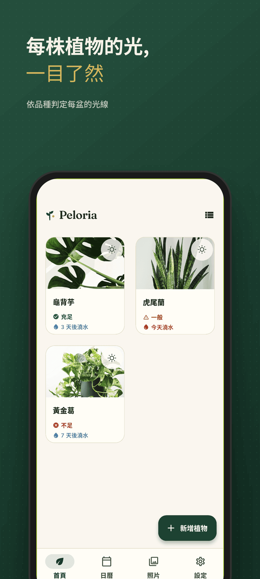 顯示每株植物光照狀態的主畫面卡片