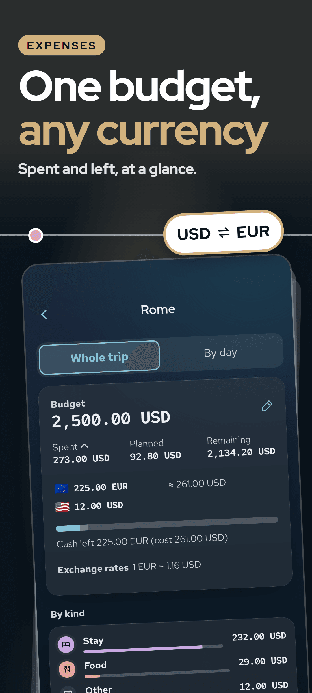 Trip expenses: the budget with spent, planned and remaining, spending split by currency at the rates you entered, the cash still left and spending by kind