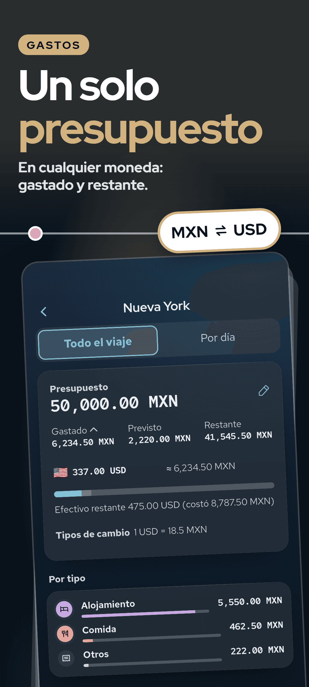 Gastos del viaje: el presupuesto con gastado, planeado y restante, los gastos por moneda al tipo de cambio ingresado, el efectivo que queda y los gastos por tipo
