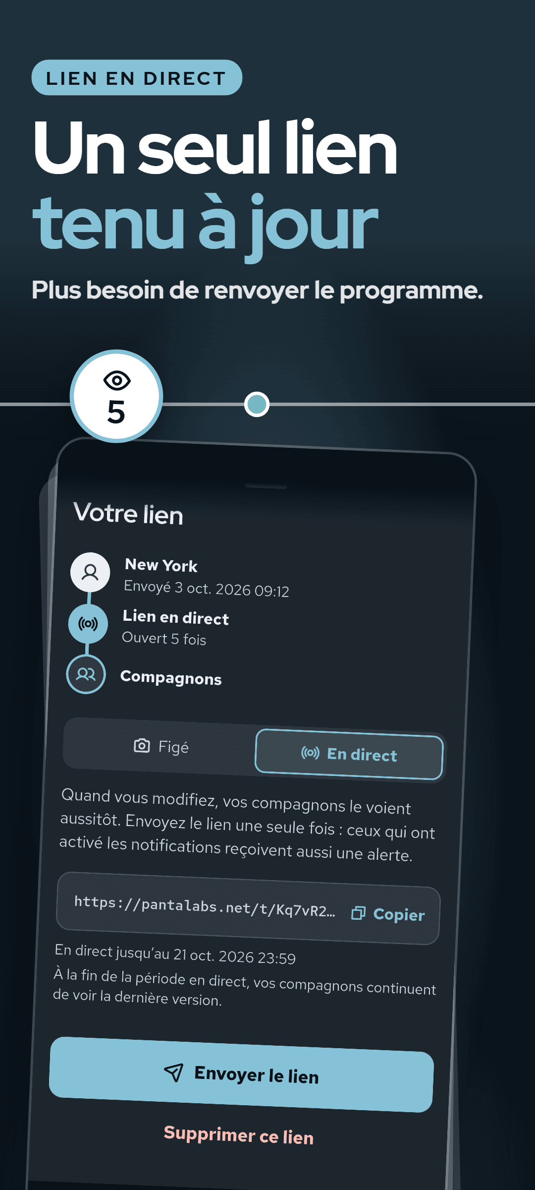 La fenêtre du lien avec le lien en direct sélectionné : le nombre d’ouvertures du lien, le lien à copier, la date jusqu’à laquelle il reste en direct et le bouton pour l’envoyer