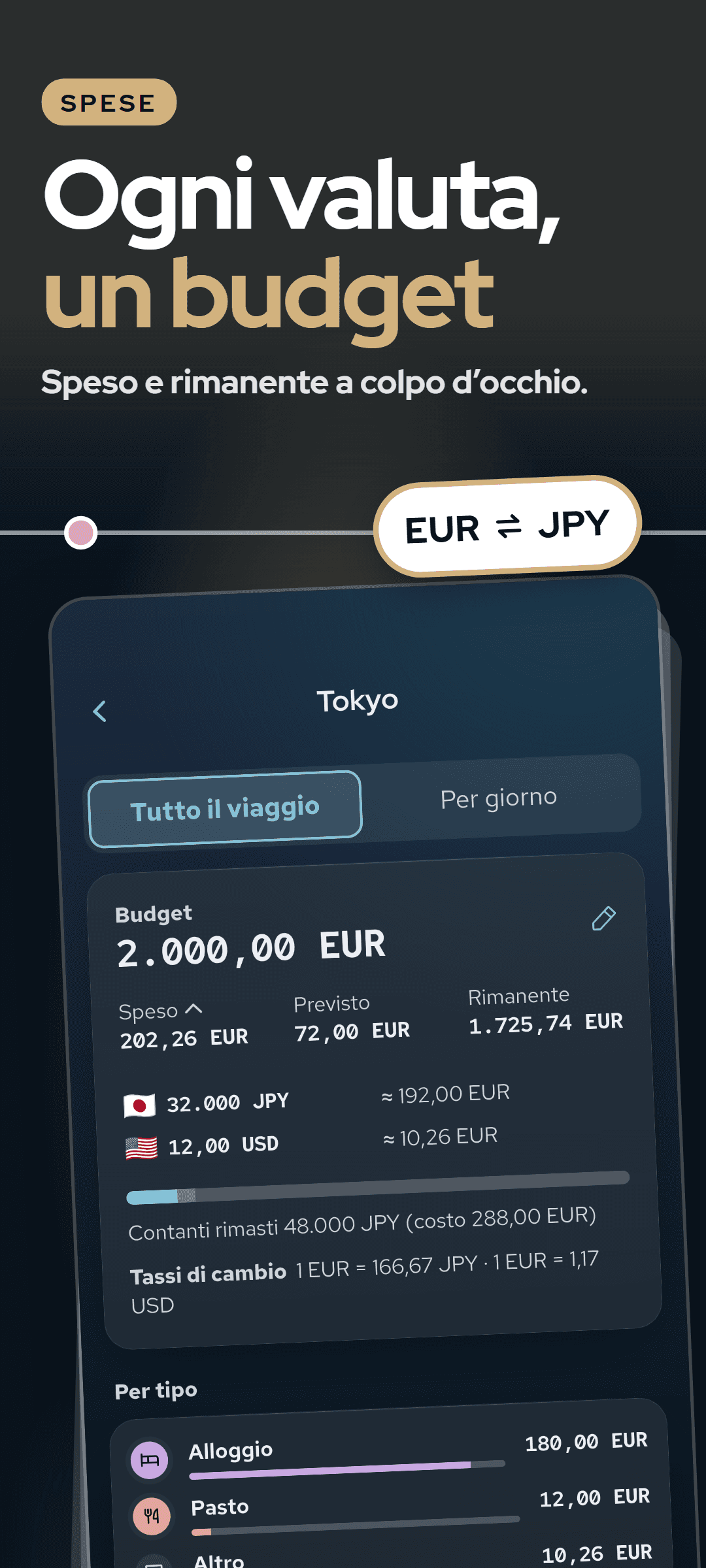 Le spese del viaggio: il budget con speso, previsto e rimanente, le spese per valuta ai cambi inseriti, i contanti rimasti e le spese per tipo