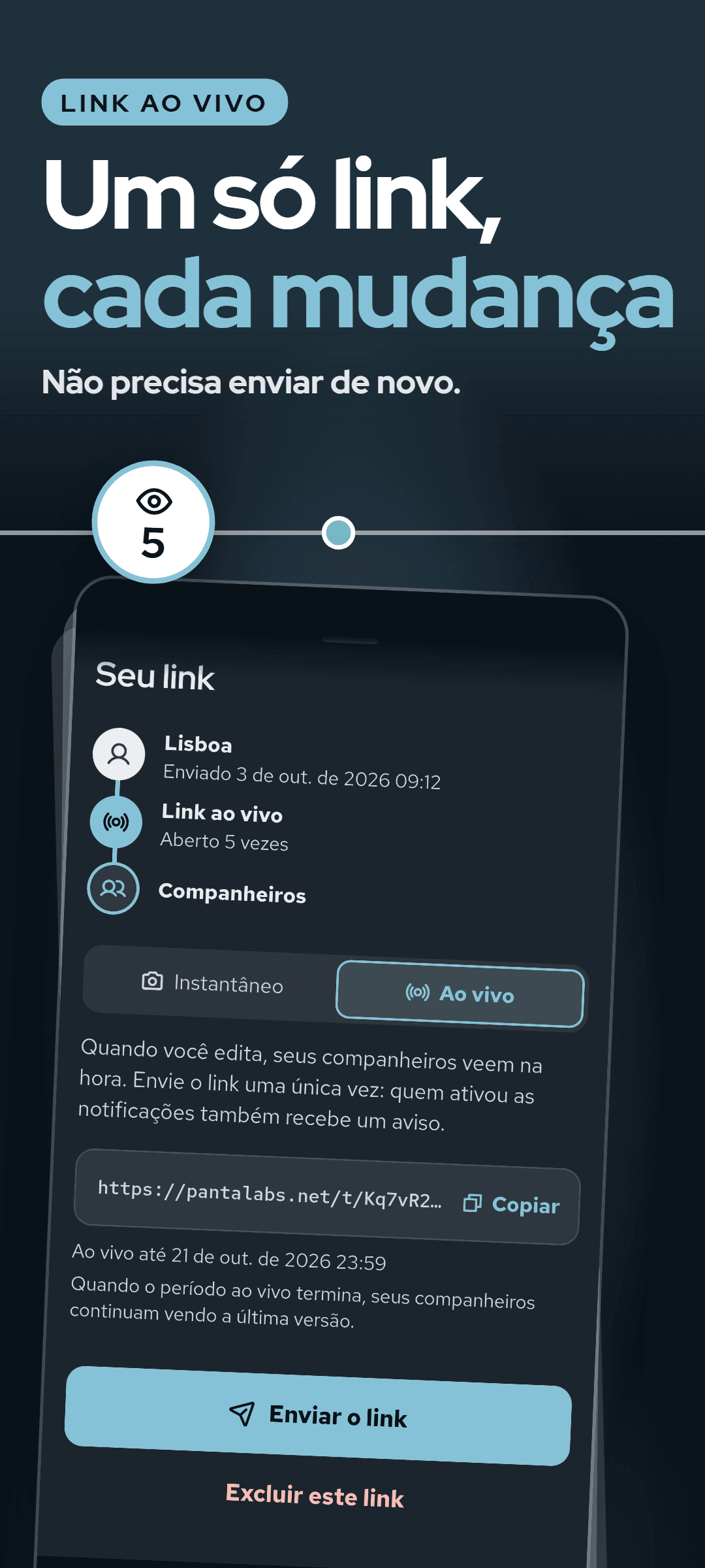 A janela do link com o link ao vivo escolhido: quantas vezes o link foi aberto, o link para copiar, até quando ele fica ao vivo e o botão para enviar